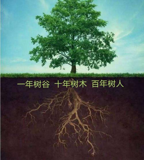 一年树谷 十年树木 百年树人