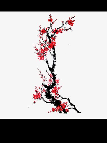 梅花纹身_纹身_梅花_纹身手稿_美妆_彩妆