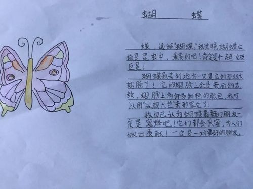 前景少年说植物昆虫备忘录