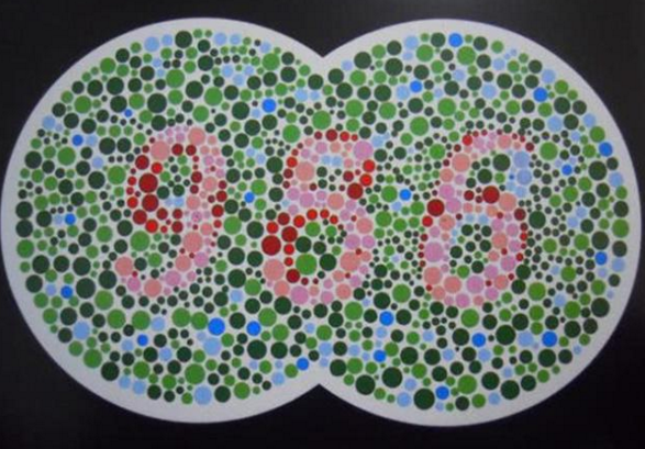 第1张图,一只蝴蝶,如果你是非常严重的色盲患者的话,那可能就什么都看