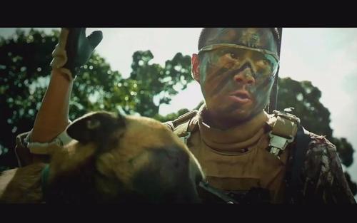 一起走过的日子就是幸福湄公河行动经典台词