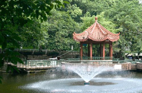 【壮丽70年】从达州市人民公园变迁看达州城市发展