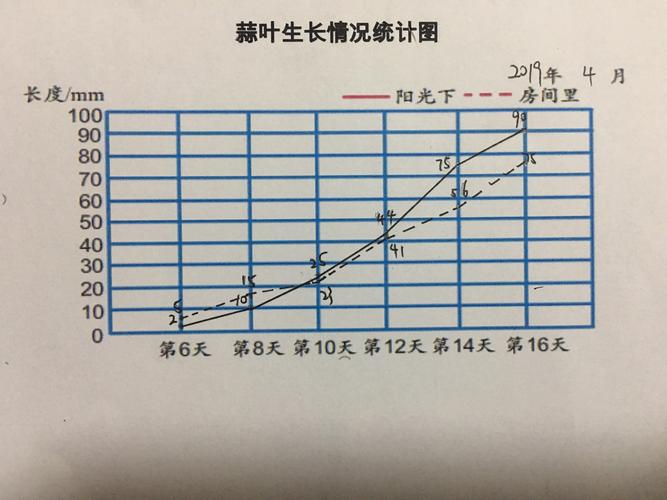 数学实践—蒜叶的生长