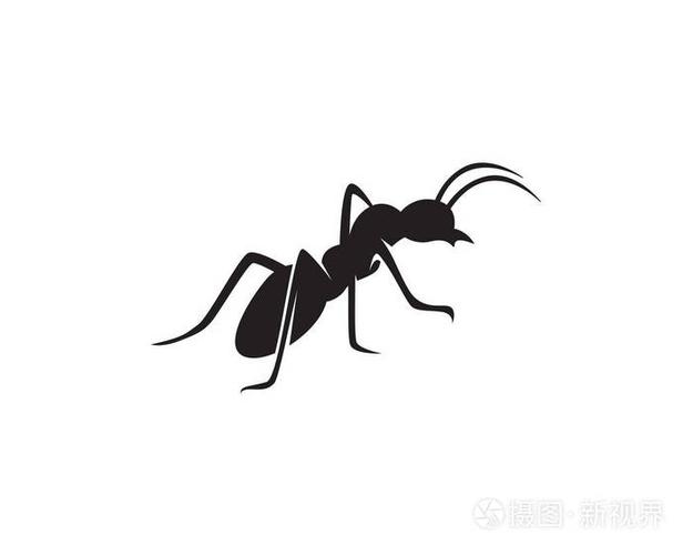 蚂蚁标志模板矢量图案
