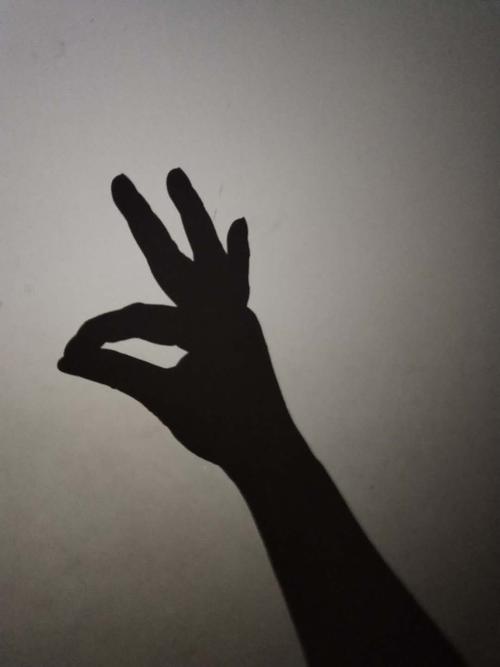 二下阅读《手影戏》课外互动