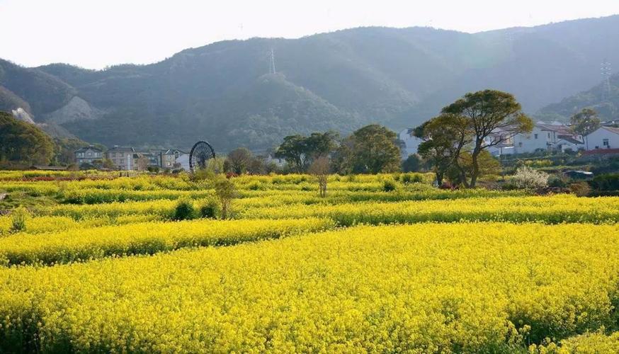 展茅干施岙村——请叫我"浙江3a级景区村庄"!