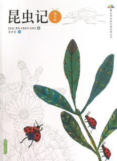 昆虫记圣甲虫的造型术