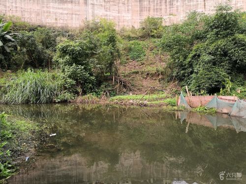 两江新区跳墩河取样上午未命名