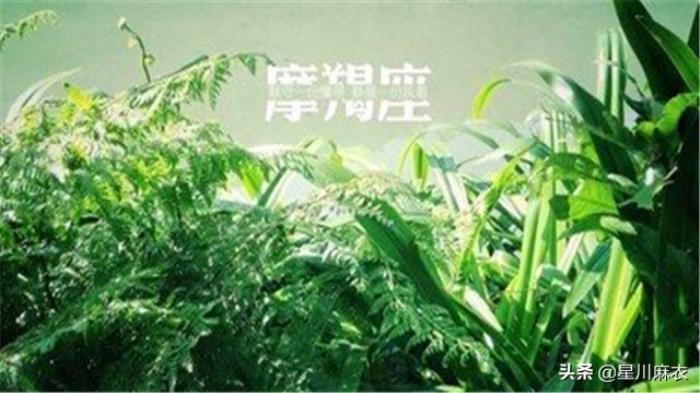 摩羯座的性格十二星座之摩羯座全面解析