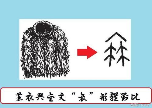 《回乡偶书》中"衰"字到底应该是读shuāi,还是读cuī?