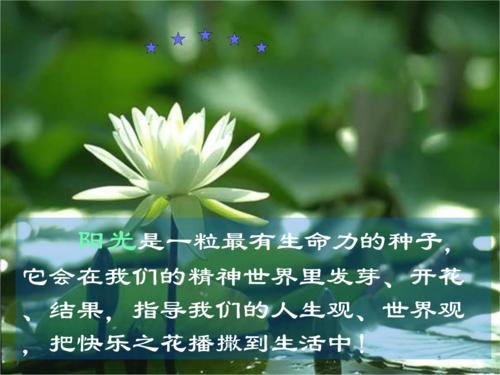 做个阳光快乐自信自强的少年摘要.ppt