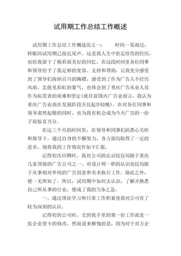 试用期工作总结工作概述.doc