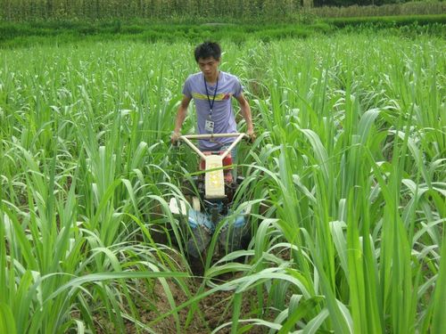 甘蔗开沟培土机