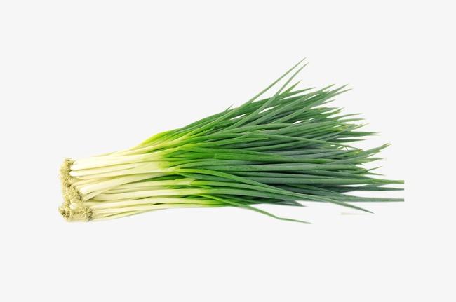 葱,小葱,一捆葱,绿色,菜