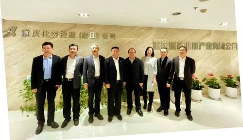 中国医药党委书记,董事长李亚东一行赴 重庆调研