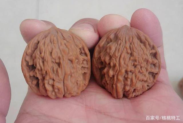 100种文玩核桃品种分享之79:四喜狮子头