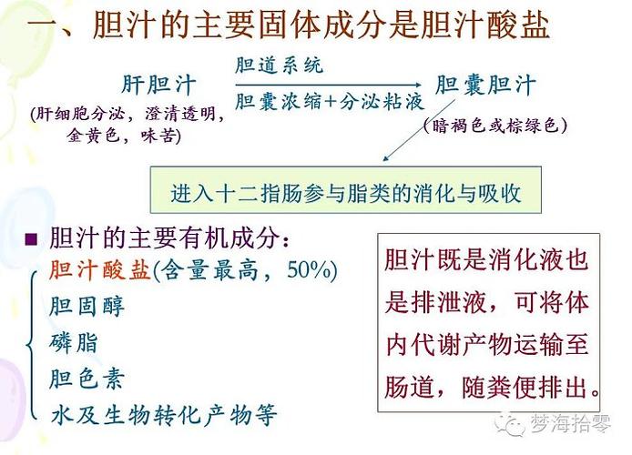 课程讲解非营养物质代谢(胆汁与胆汁酸的代谢)