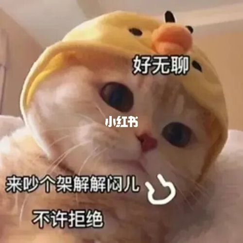 好无聊 来吵个架见解解闷儿 不许拒绝_表情包_素材