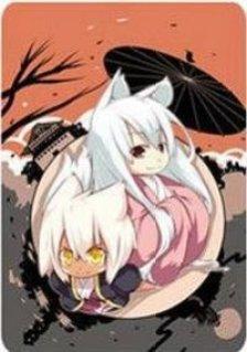 猫之茗 龙井&amp;普洱