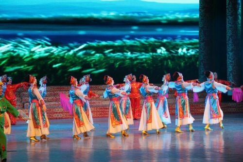 蒙古族舞蹈《鸿雁》 编舞:张喜顺 承德市乐怡艺术团舞蹈队演出 领舞