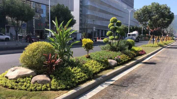 温州"最佳公园绿地,最佳道路绿地"网络评选活动启动,瓯海高颜值公园