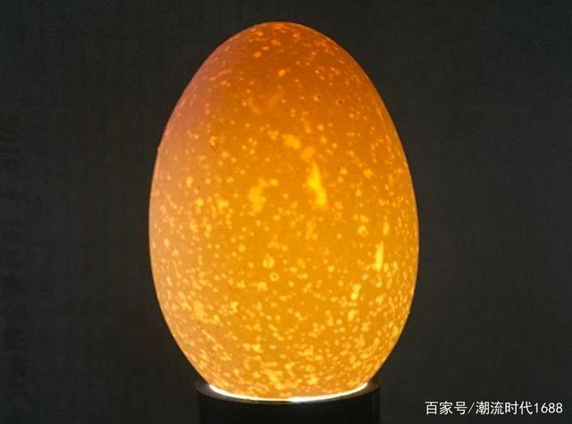 其实孵化小鸡死蛋多这问题