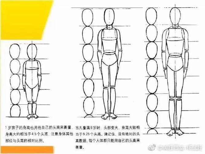 速写人物比例讲解