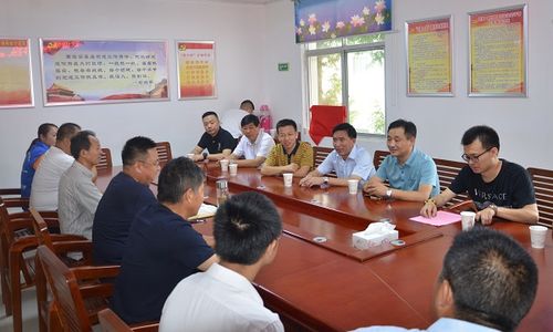 中共宿松县驻苏南流动党委常州宿松经贸文化促进会到复兴洲头和汇口