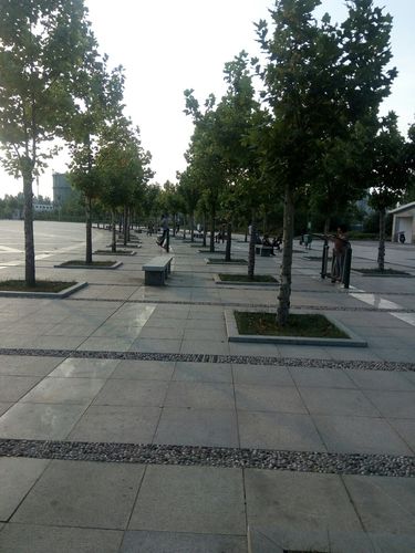 河南省三门峡市义马市千秋路靠近义马体育公园天气预报