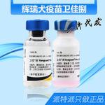 现货正品美国辉瑞硕腾  font color=red>卫佳 /font> font color=red>