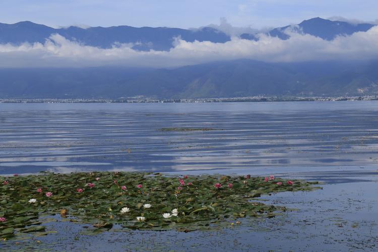 "天龙八部"中的大理有着"风花雪月"的美景