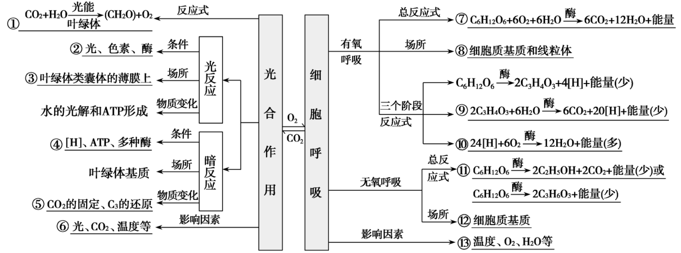 2019届高考生物二轮复习专题4光合作用和细胞呼吸学案