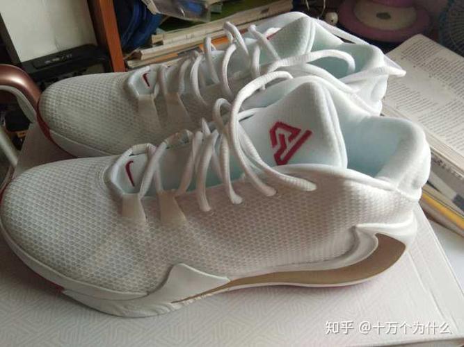 你怎么看字母哥1代球鞋?