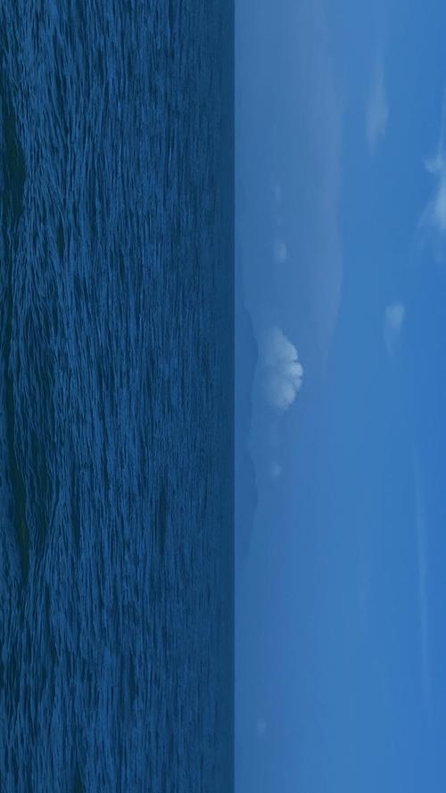 一直游到海水变蓝