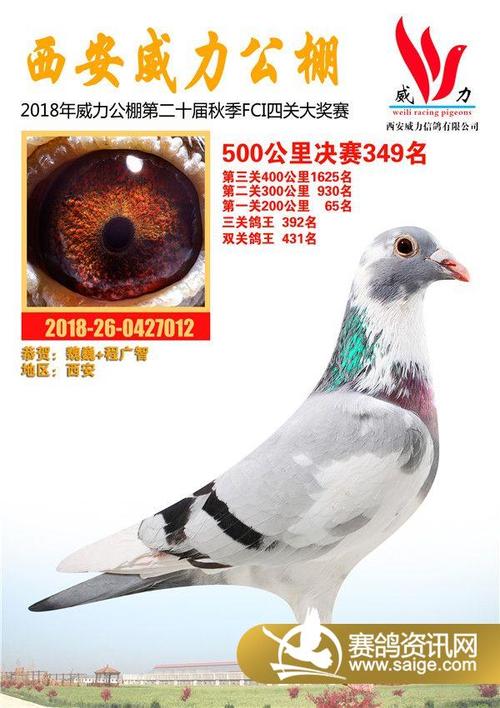 陕西威力秋棚2018年获奖鸽331名-360名_公棚动态_陕西
