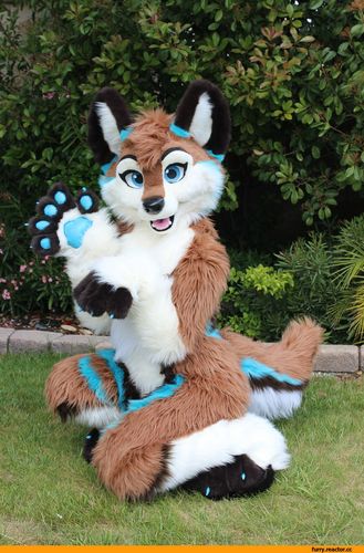 《狐系兽装》图集(二)