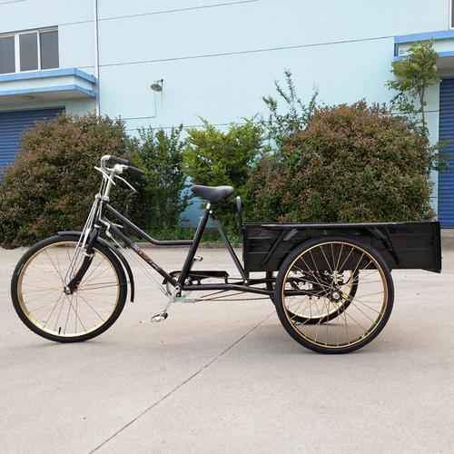 南洋三轮车老人自行车小型拉货出行人力车三轮车