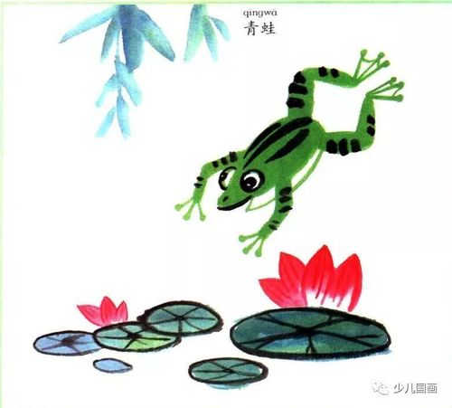 娃娃学国画 动物篇:青蛙