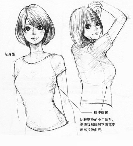 (如下图) 比较贴身的小t恤衫,侧缝线和胸部下面都要画出拉伸曲线.