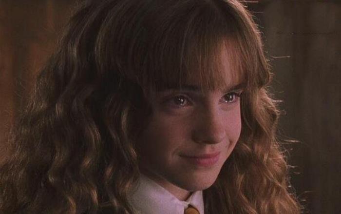 哈利波特人物(10大最让人感动的人物)