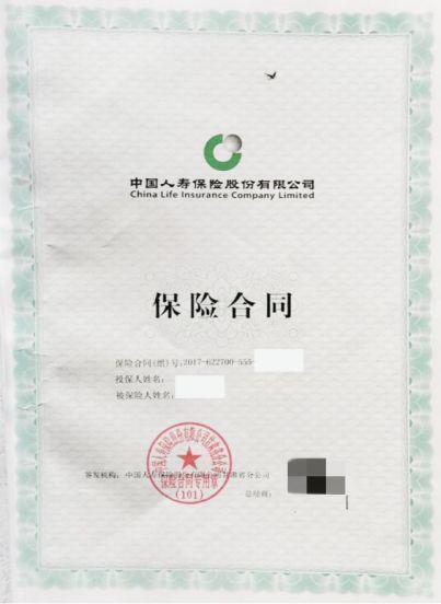 保险合同图片