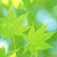 微信头像图片大全 唯美风景头像