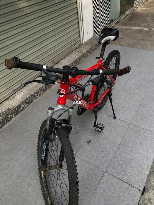 美利达_金州勇士_穿搭_山地自行车_轮胎_骑车_汽车