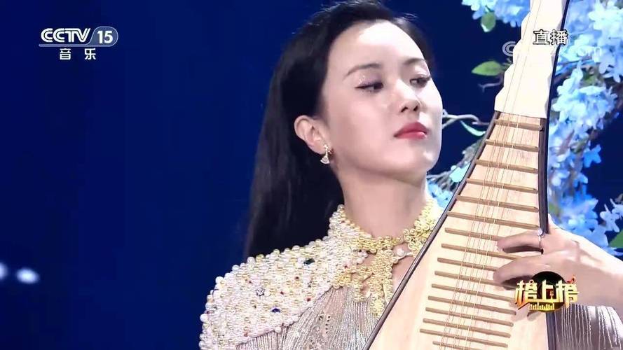 乔鹤器乐演奏《琵琶语》,优美动听