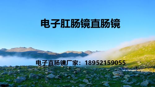 肠镜和电子肛门镜的区别