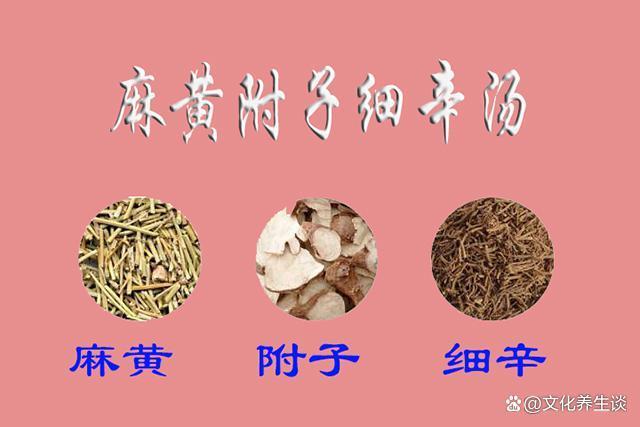 方剂学习熟悉一下麻黄附子细辛汤理解它的配伍精髓