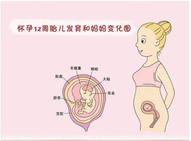 宝宝|胎教|胎儿|孕妈|胎教音乐|叶酸