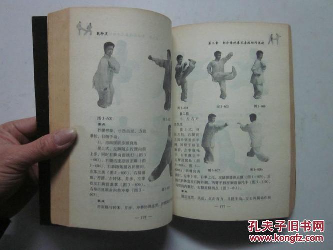 戳脚道-功理功法 套路 器械 技击术 全图解