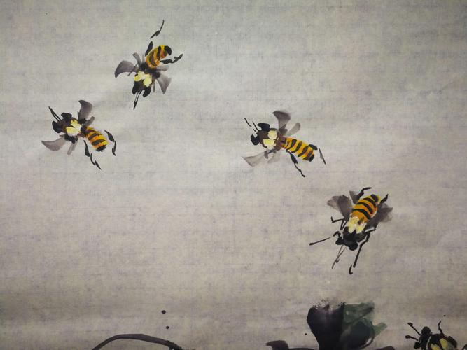 画蜜蜂(老年大学教学实录)