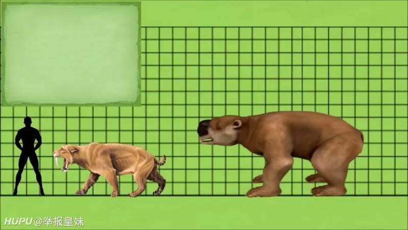 科普,史前动物和人类体型对比,应该庆幸它们已经灭绝